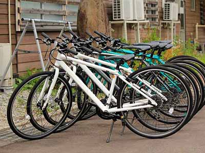 Bicycle Rental